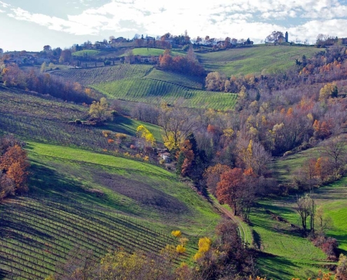 Emilia Romagna: ricerca per bambini